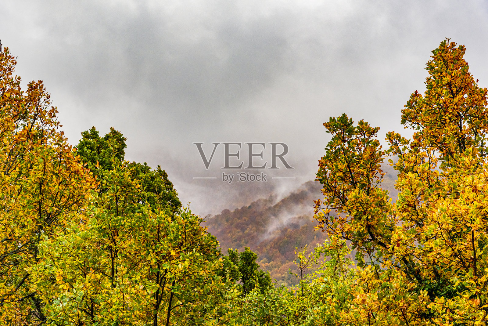 秋天的颜色照片摄影图片