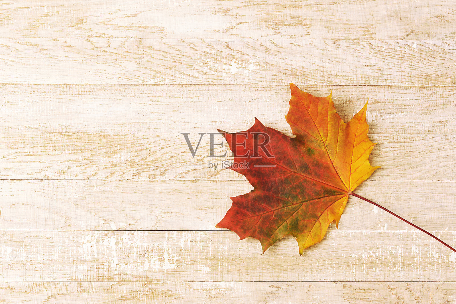 五彩缤纷的秋天枫叶在木制的背景上照片摄影图片