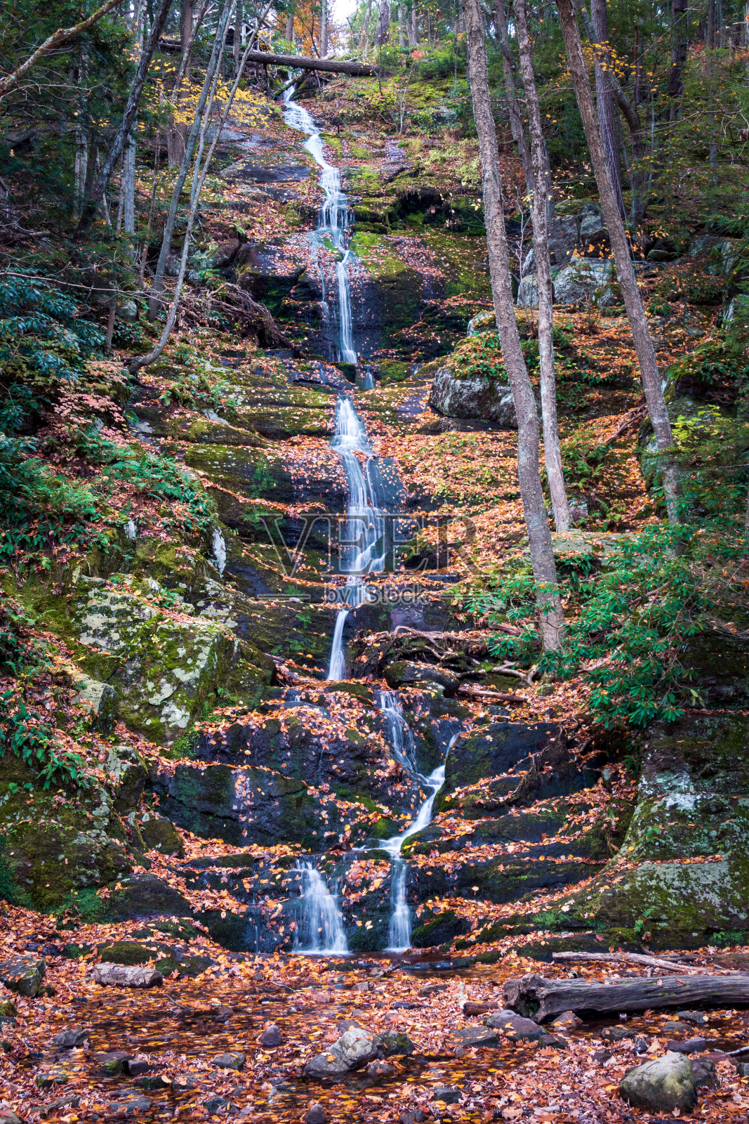 白脱牛奶落照片摄影图片
