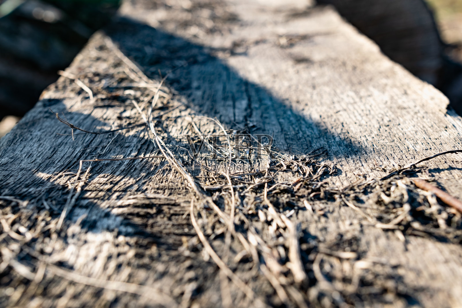小树枝和干木片在混凝土背景下，一堆一堆地躺在开阔的天空下照片摄影图片