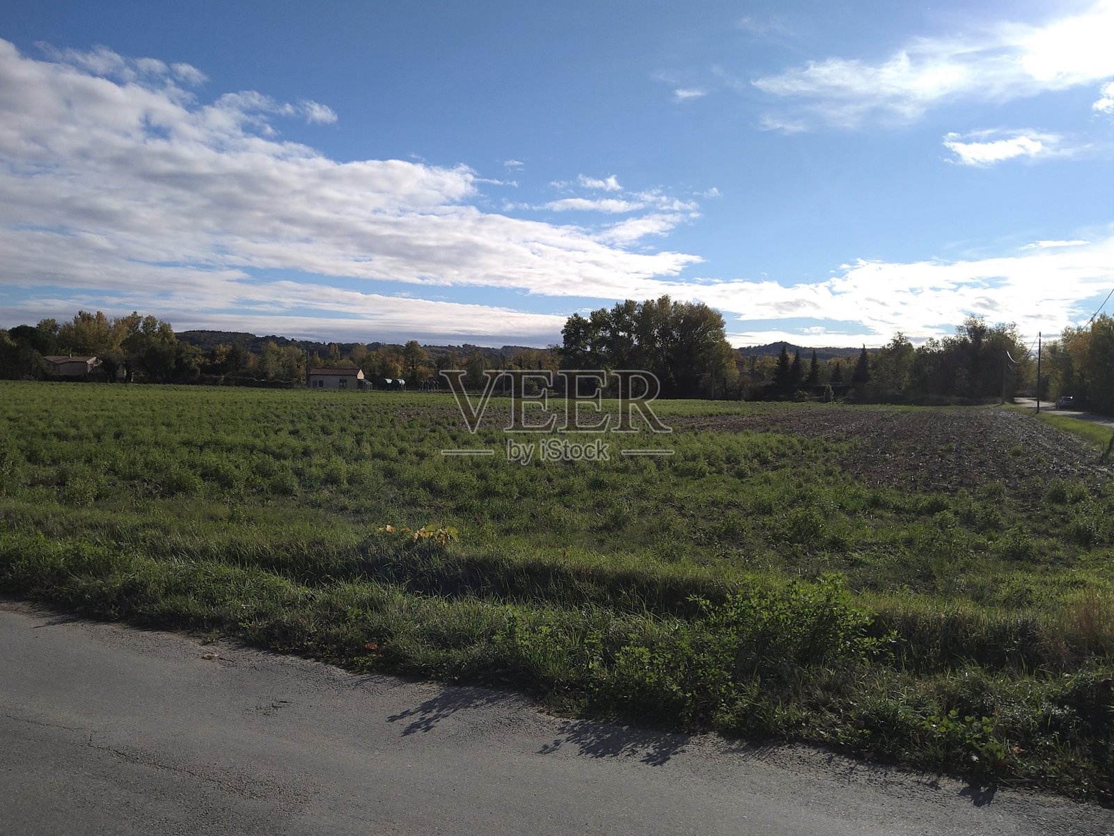 普罗旺斯的薰衣草田Drôme照片摄影图片