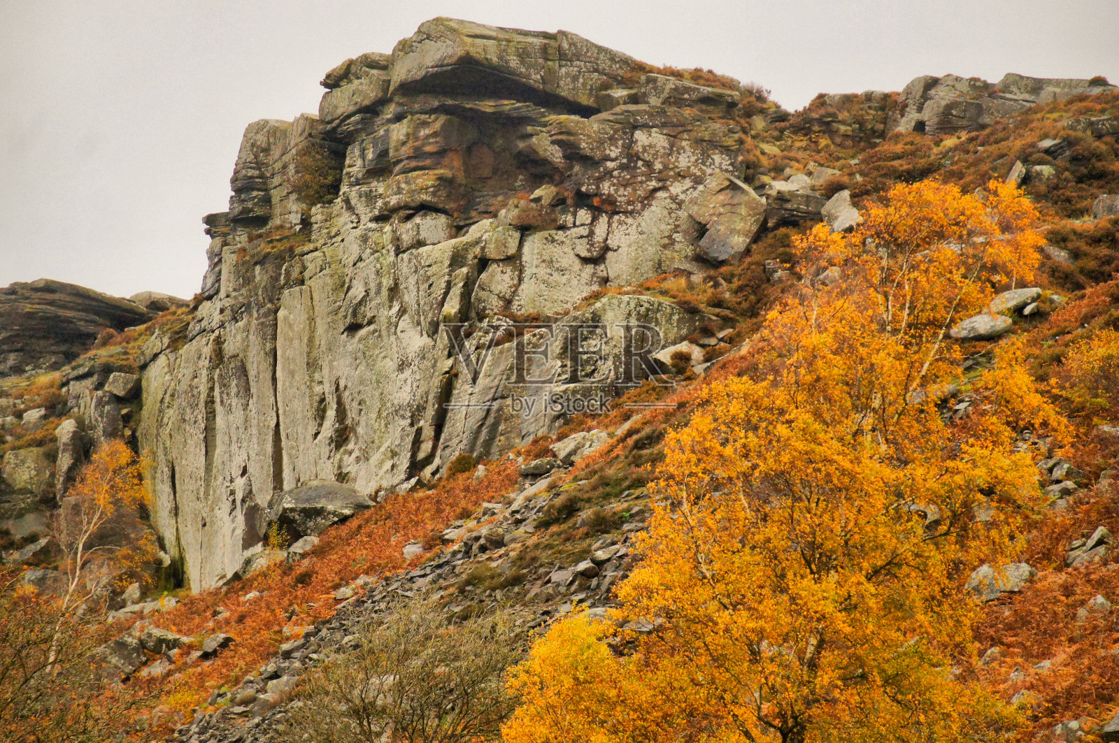 秋季高峰照片摄影图片
