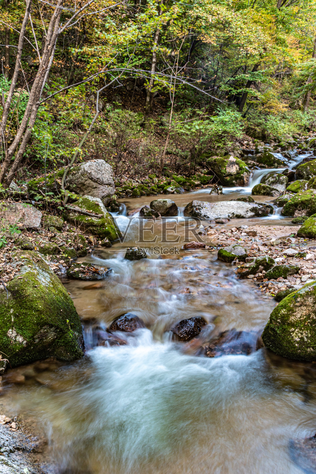 吉林交河红叶河谷10月水系景观照片摄影图片