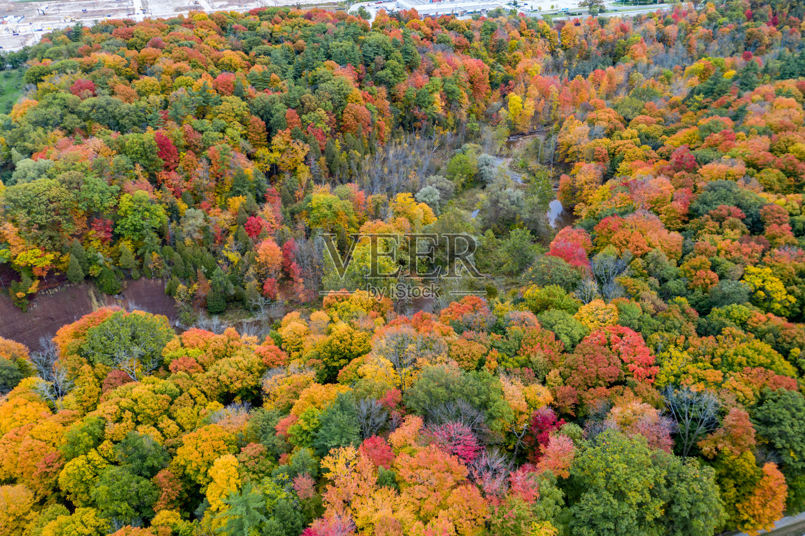 空中勃朗特溪秋季省级公园，奥克维尔，加拿大照片摄影图片
