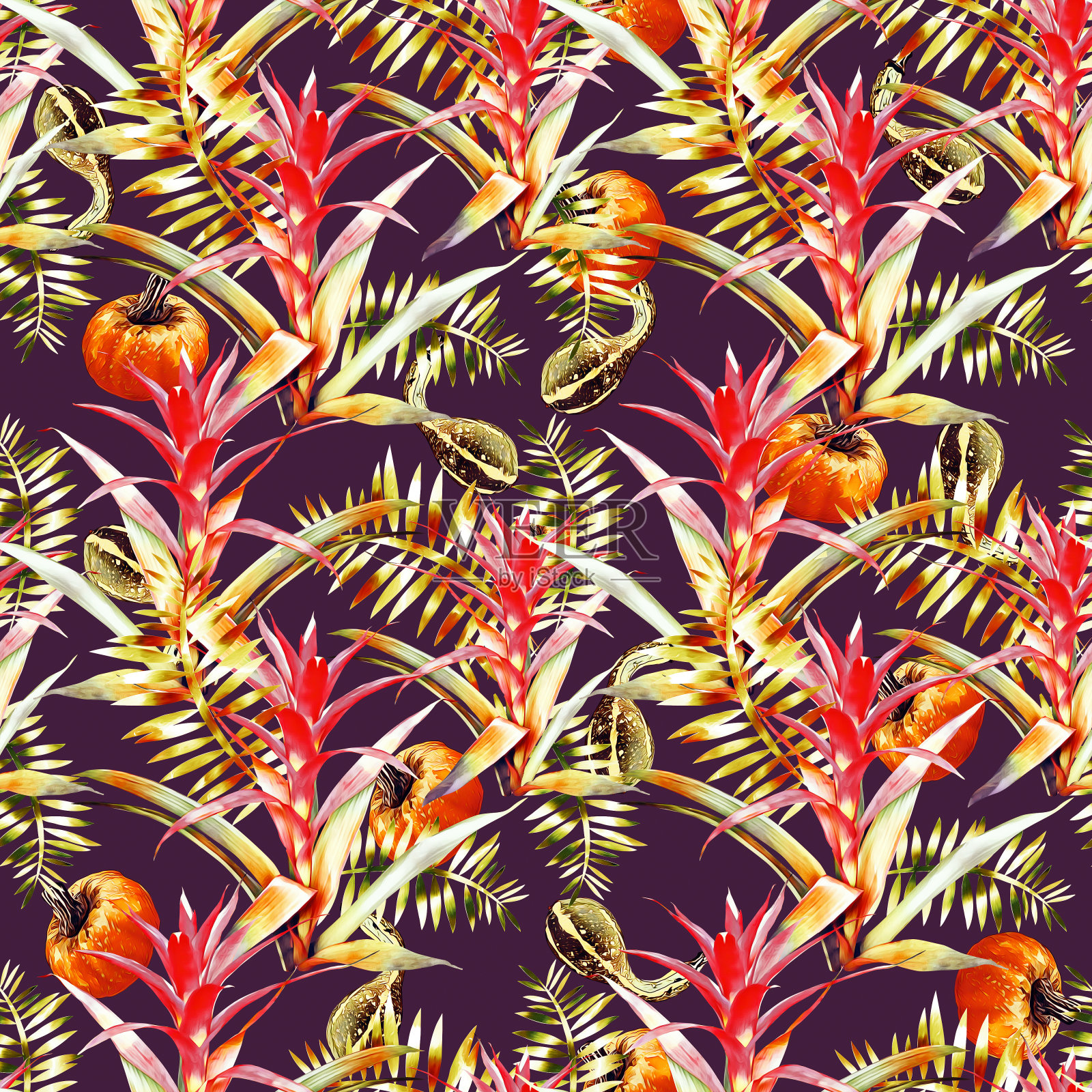 古兹曼和南瓜花无缝图案。插画图片素材