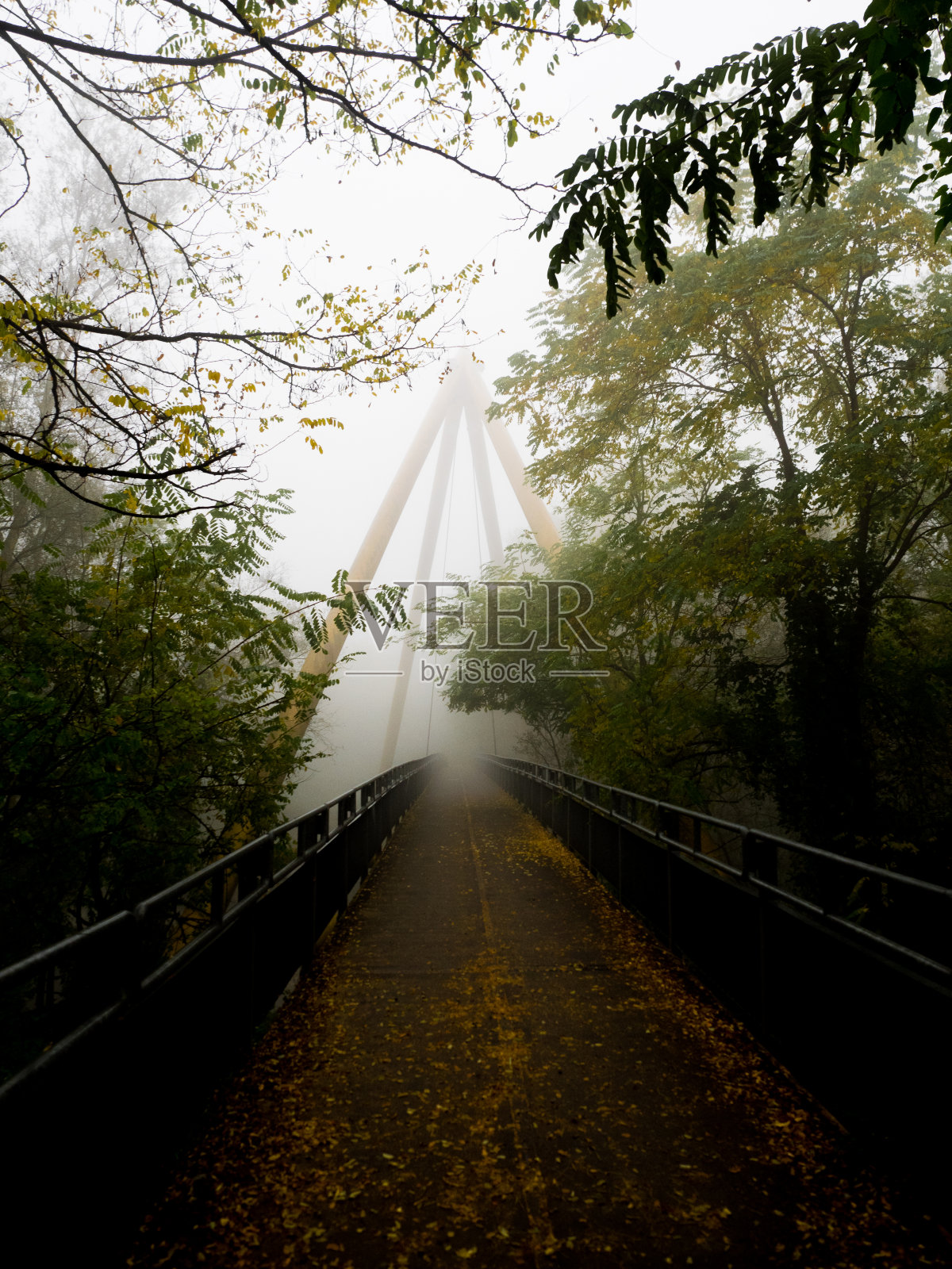 11月秋日，都灵市大雾弥漫照片摄影图片