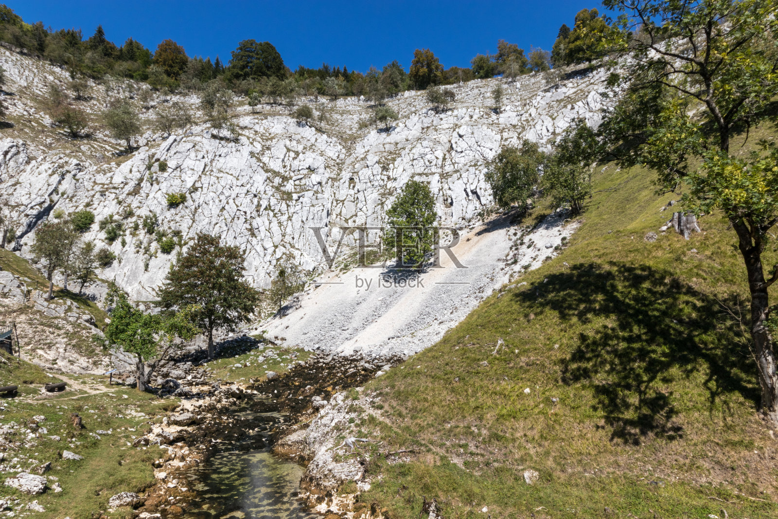 塞恩河的源头来自法国的汝拉照片摄影图片