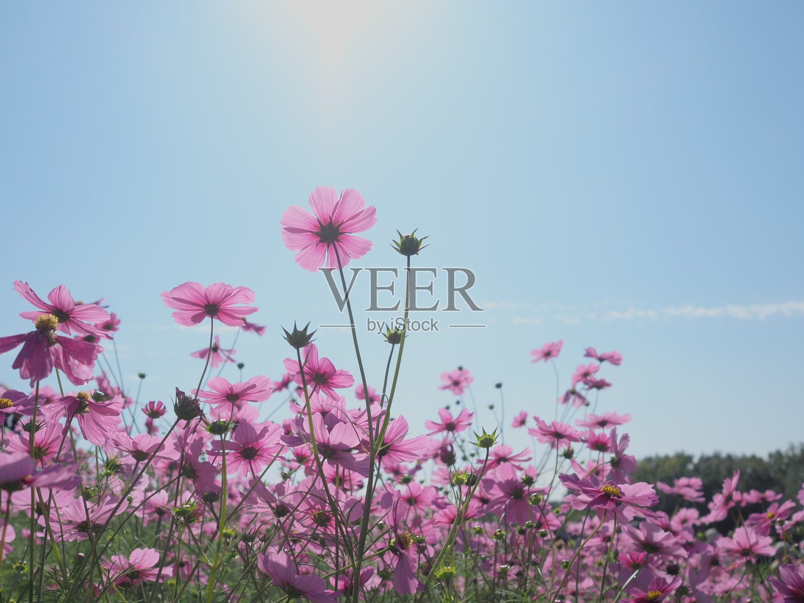 宇宙照片摄影图片