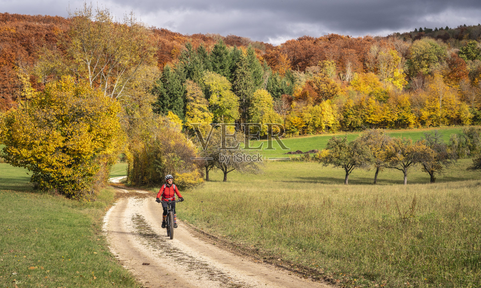 在秋天的森林里，妇女们骑着电动山地车照片摄影图片