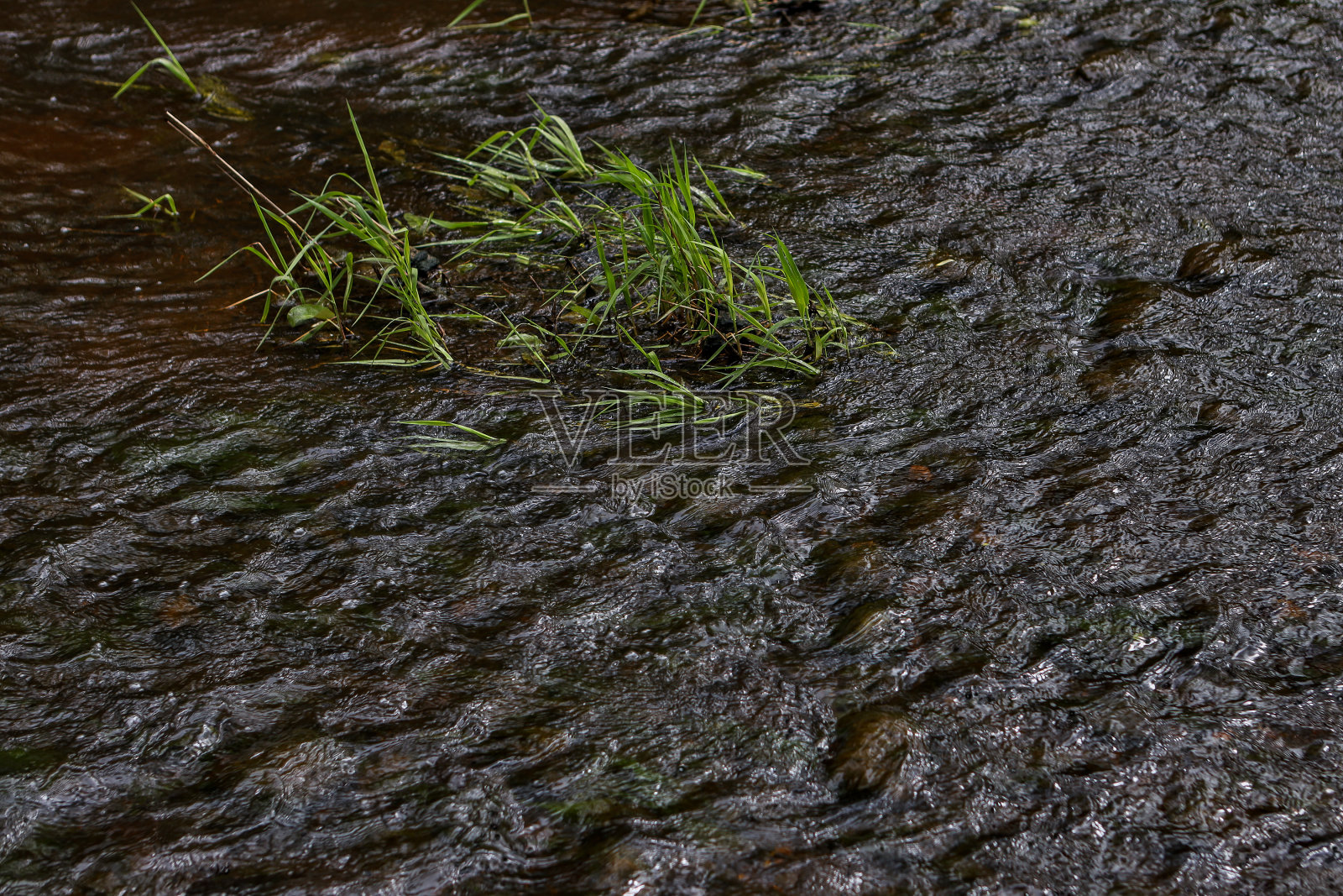 小河波带水草。照片摄影图片