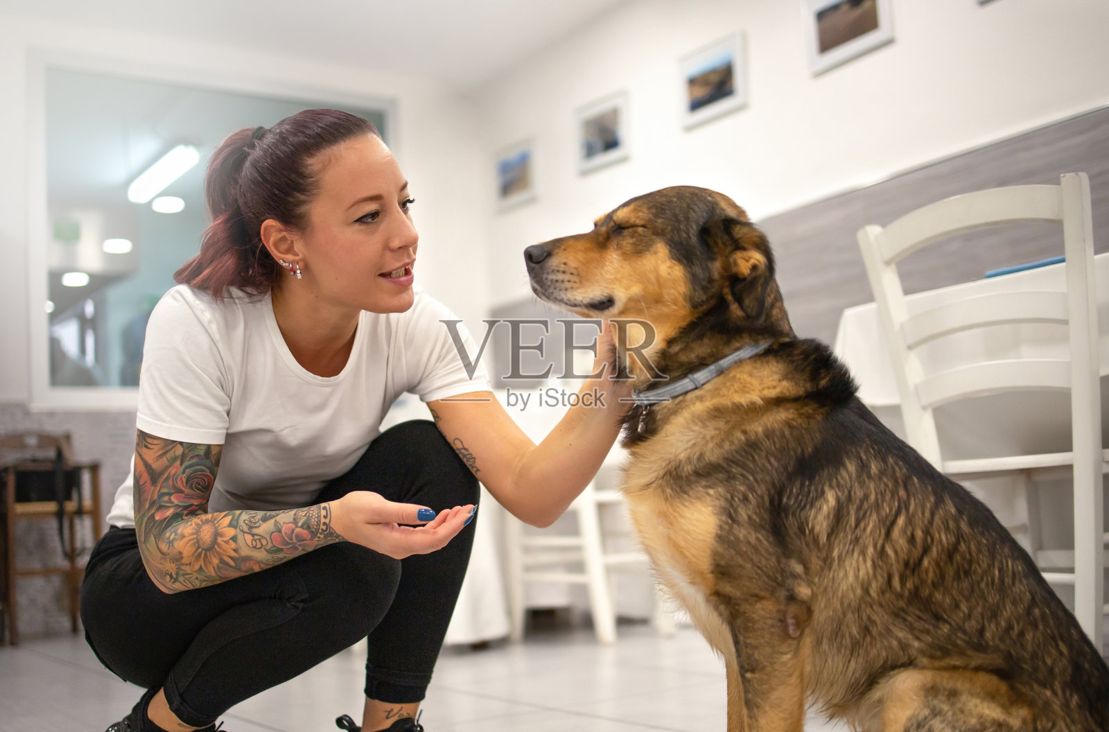 餐馆的年轻老板高兴地招呼狗。概念宠物友好和欢迎动物在餐厅。照片摄影图片