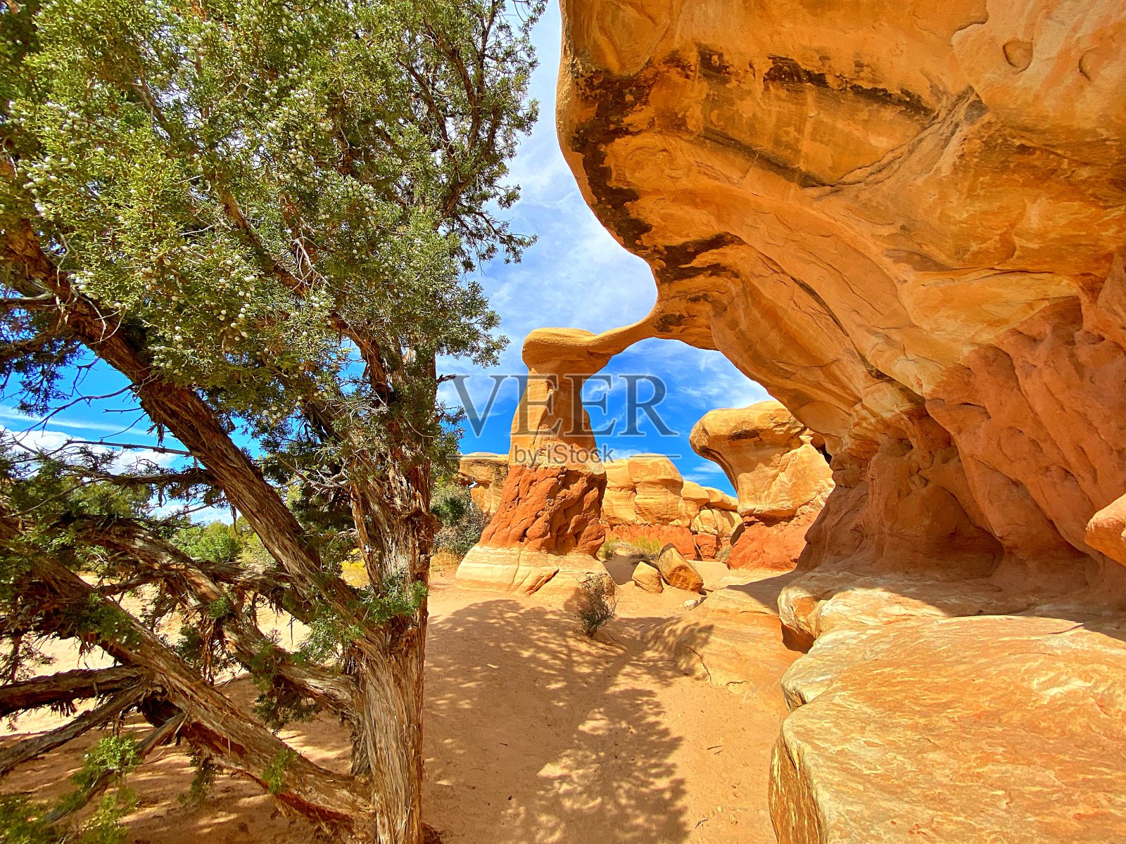 岩层埃斯卡兰特照片摄影图片