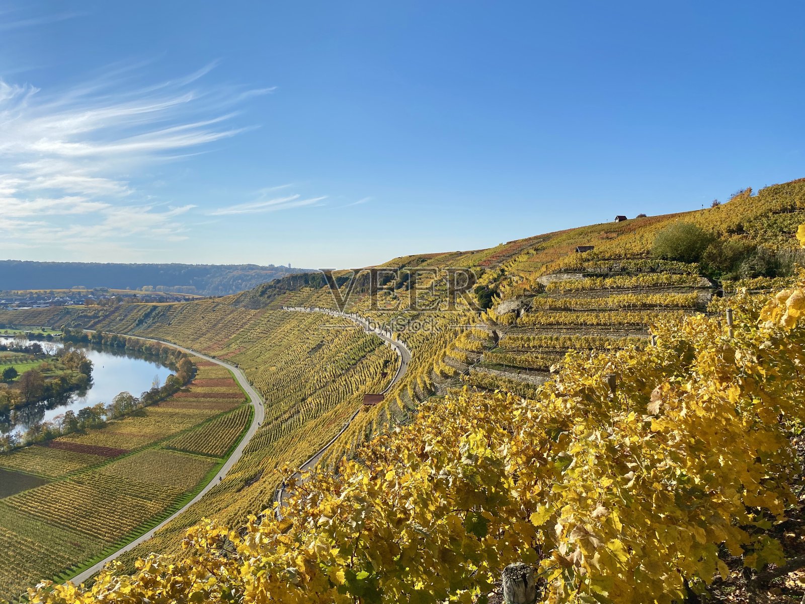 德国蒙德尔斯海姆周围的葡萄园照片摄影图片