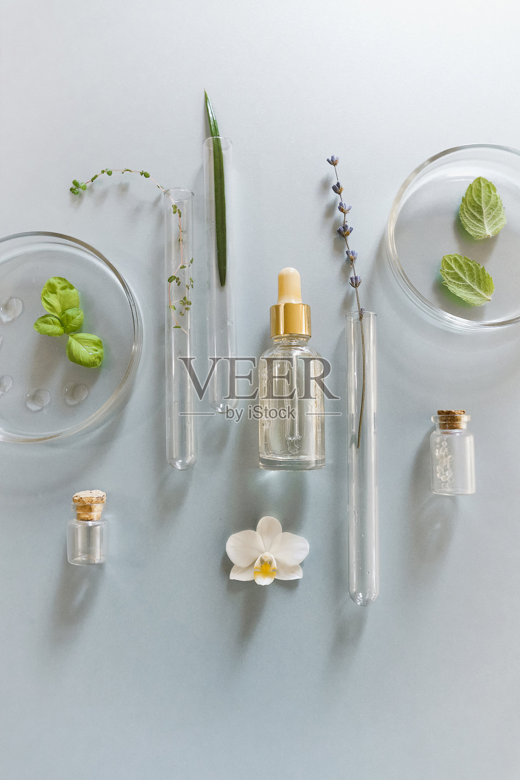 实验室桌子上一套各式各样的玻璃器皿照片摄影图片