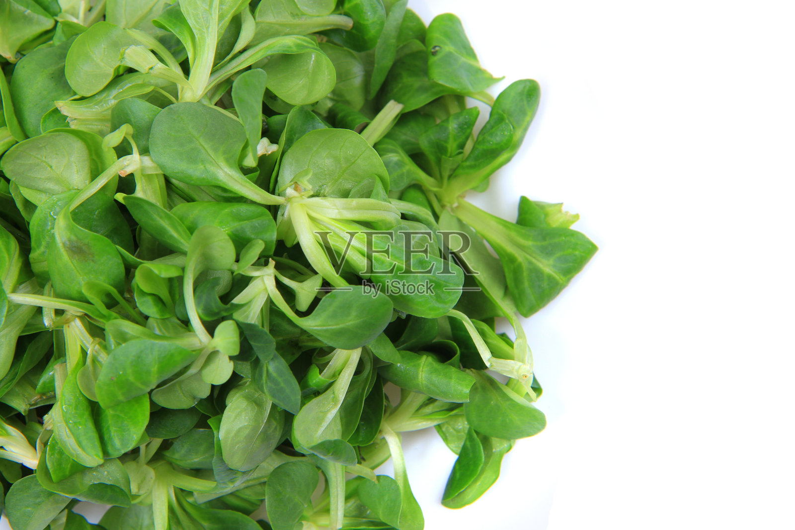 新鲜的羊肉的生菜照片摄影图片