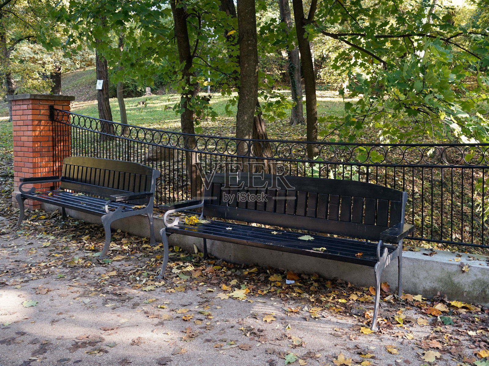 公园围栏附近的空长椅照片摄影图片