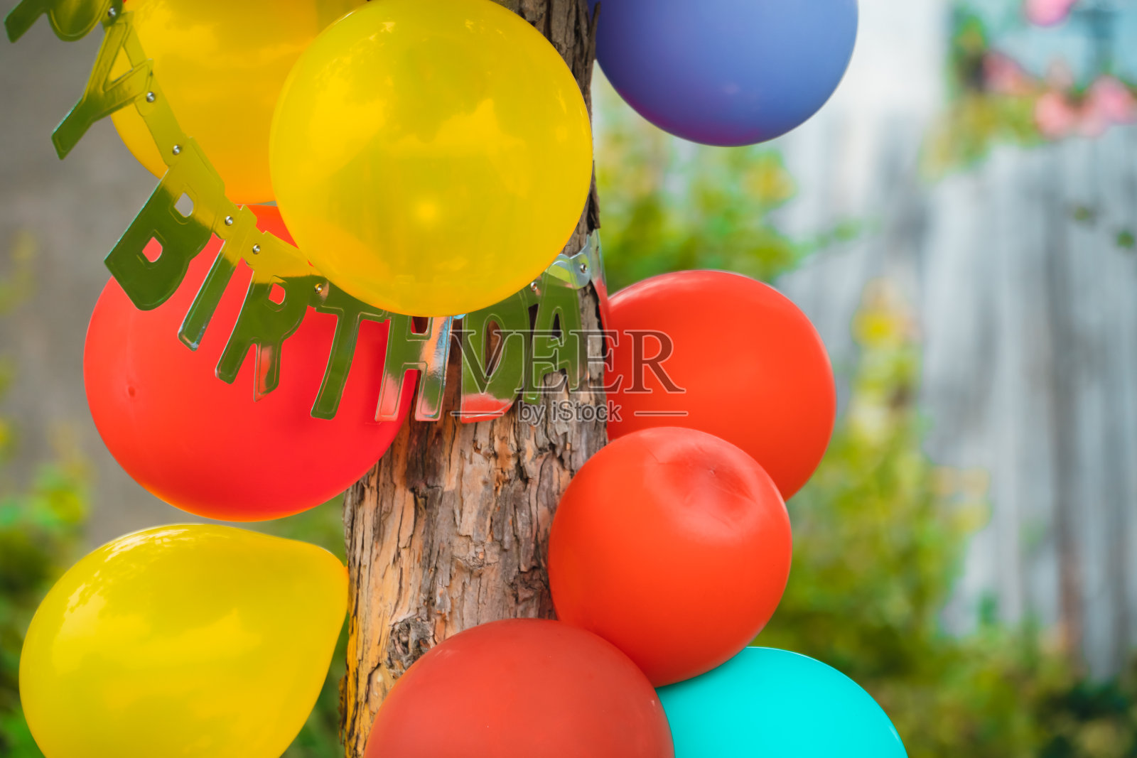 绑在松树上的派对气球照片摄影图片