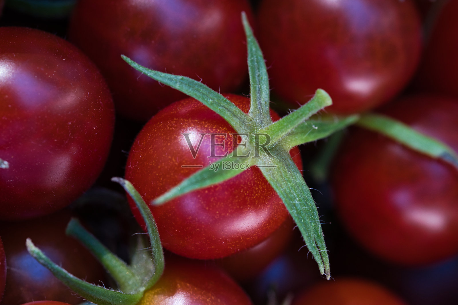 樱桃番茄纹理宏观，全框架照片摄影图片