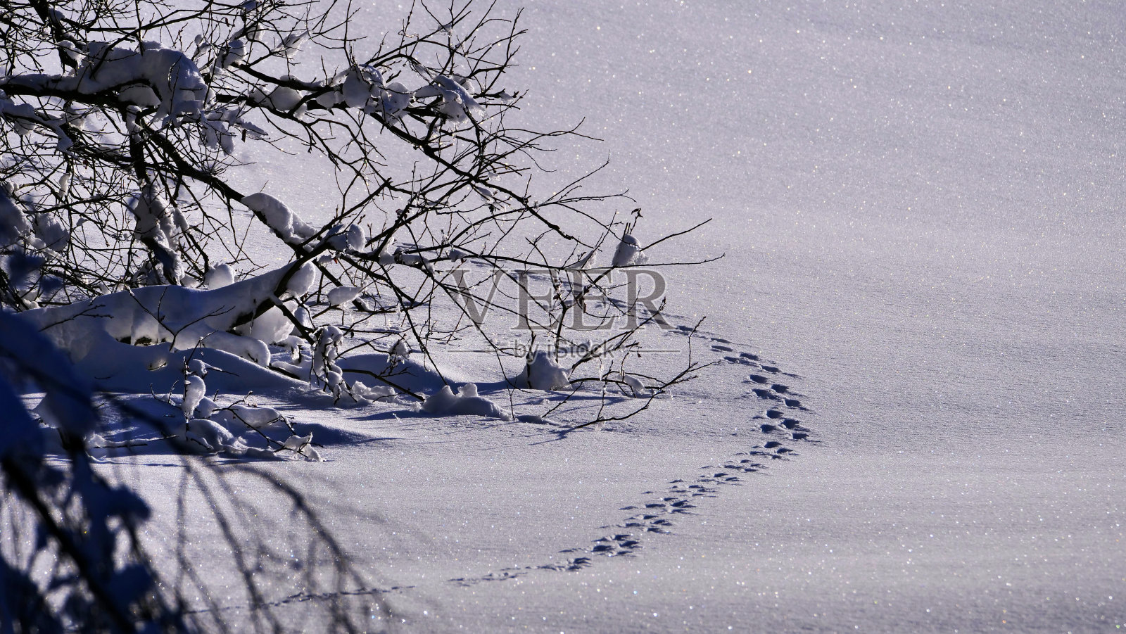 冬天的高山景观在一个霜冻的早晨照片摄影图片