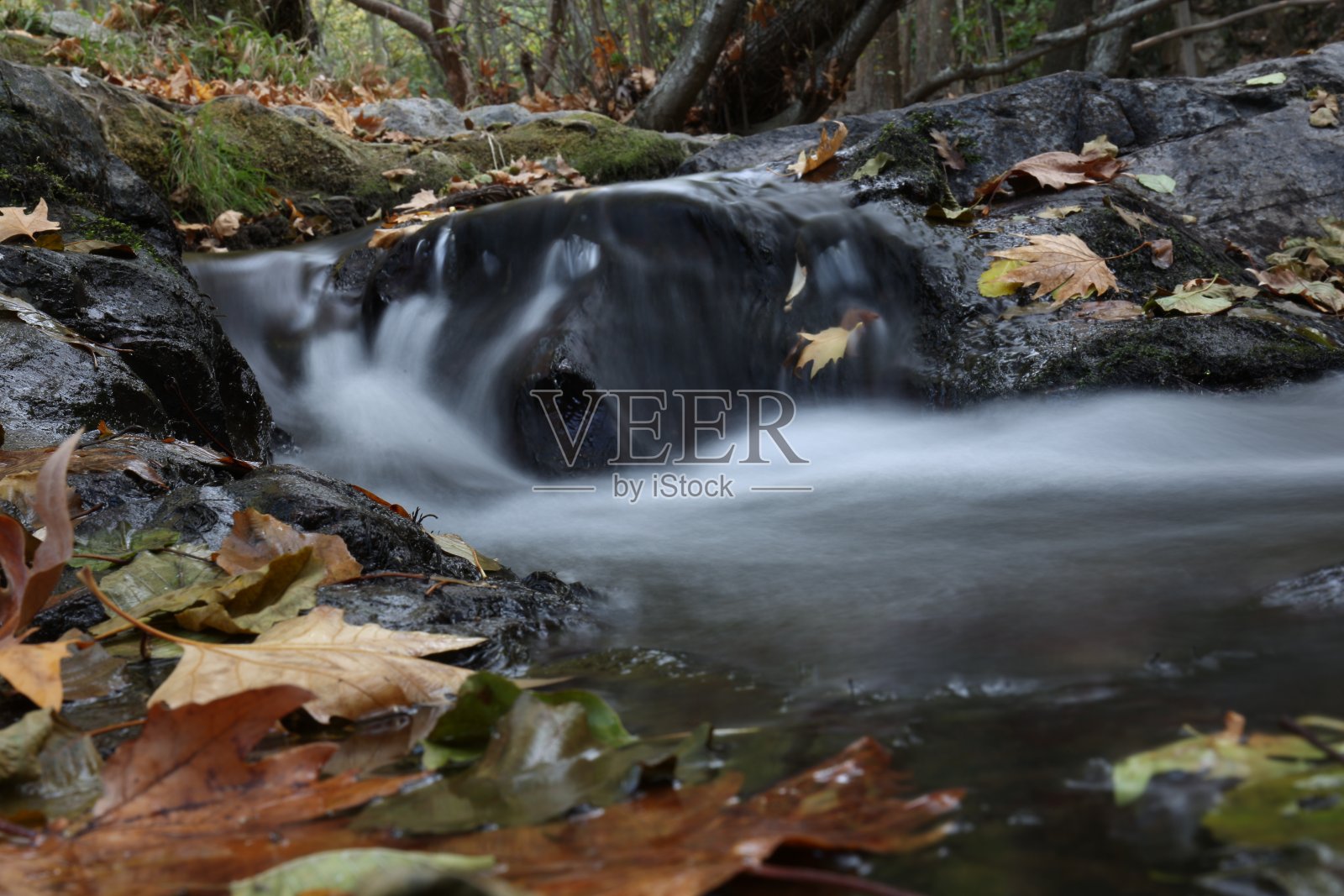 秋叶与瀑布照片摄影图片