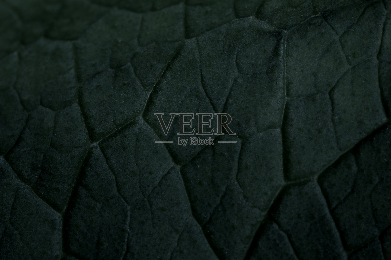 背景图像与彩色纹理效果照片摄影图片