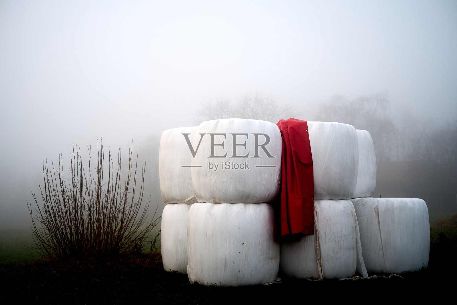 塑料有照片摄影图片