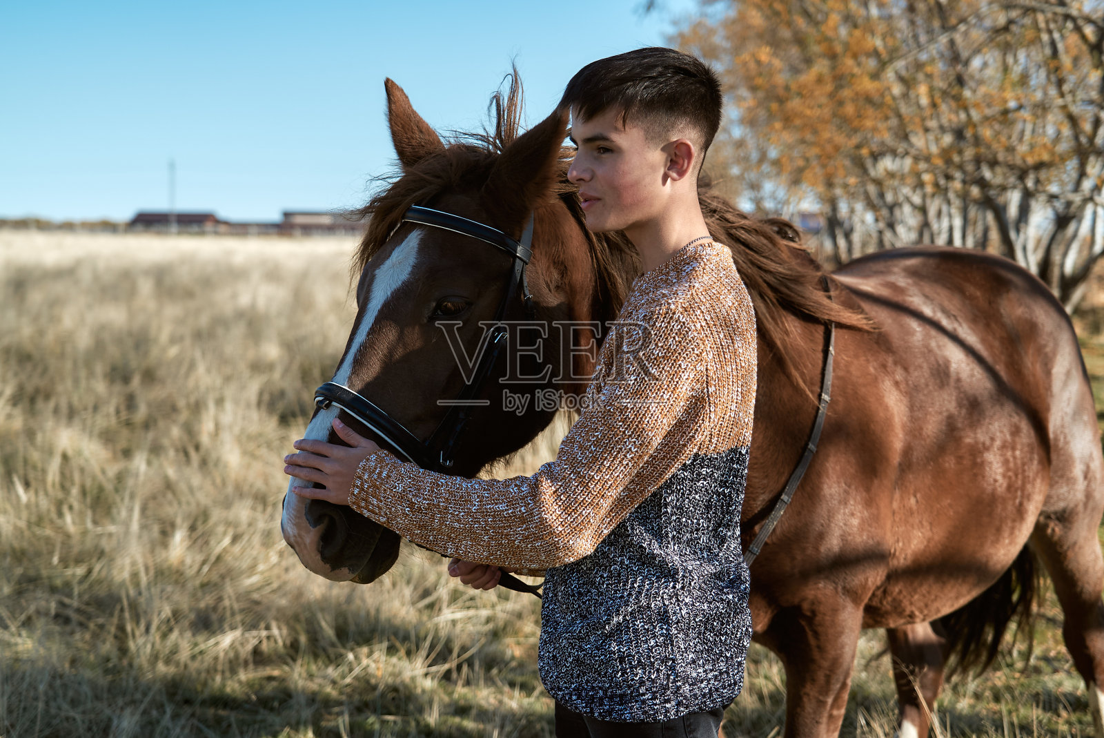少年摆姿势和马散步照片摄影图片