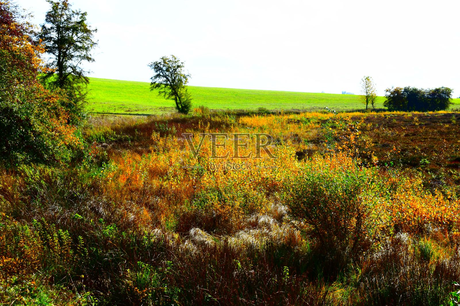 沼泽湖火山口斯特罗纳童话照片摄影图片