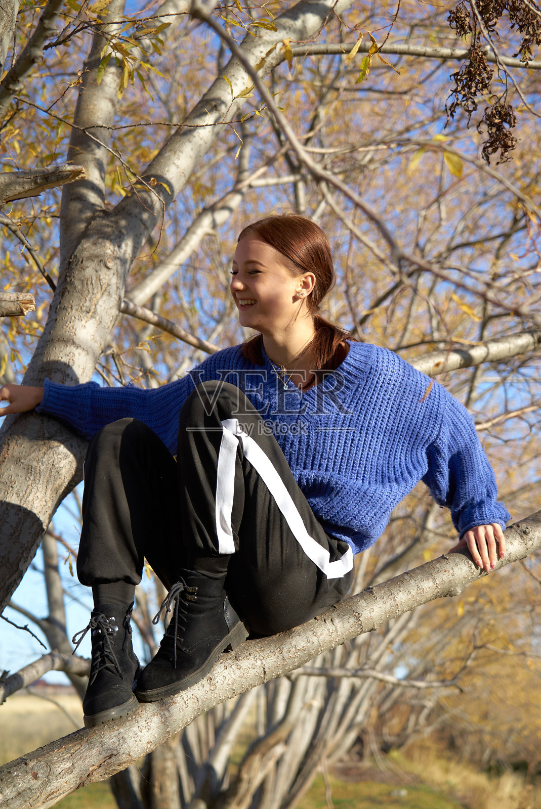 穿着便服的女孩坐在树枝上照片摄影图片