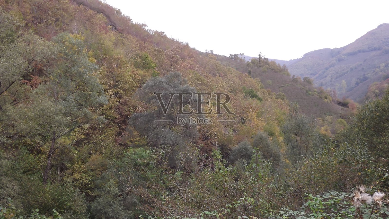 自然- - -秋天照片摄影图片