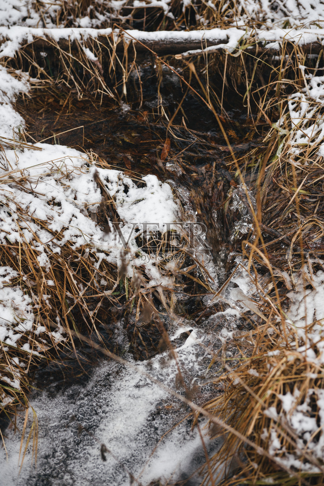 深秋森林溪流照片摄影图片