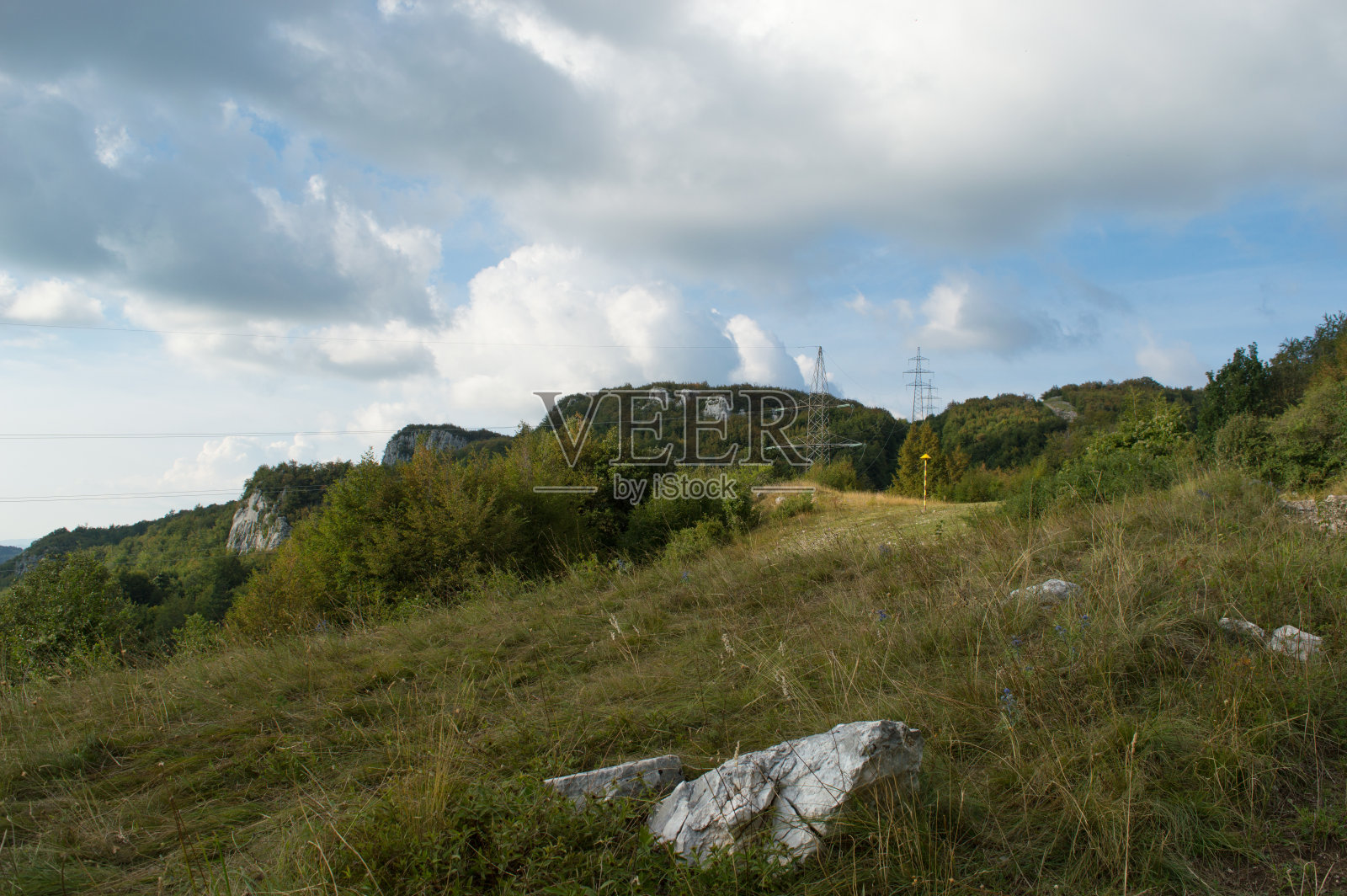 美丽的森林和山脉景色照片摄影图片
