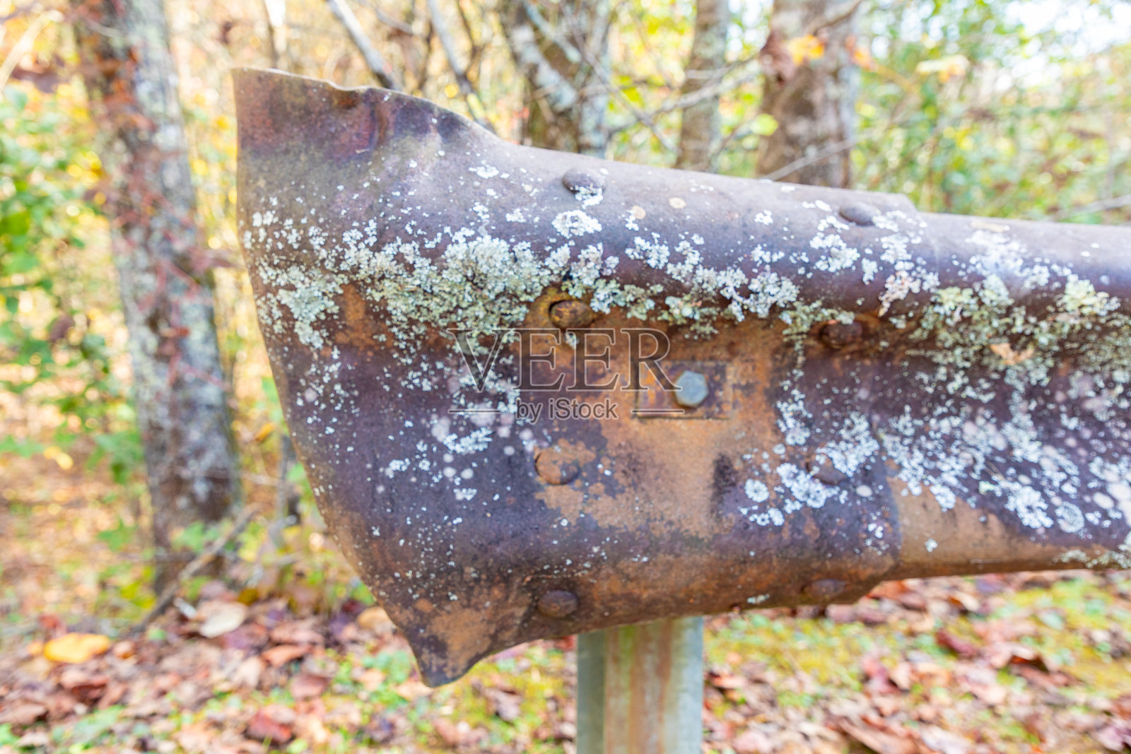 生锈的栏杆对森林的背景照片摄影图片