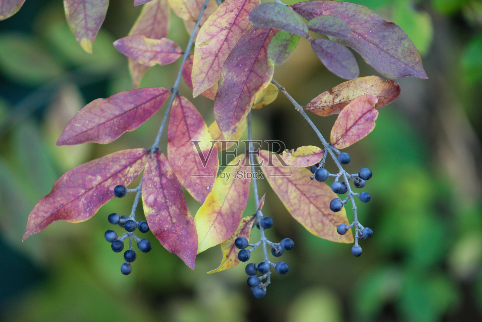 拓展照片摄影图片