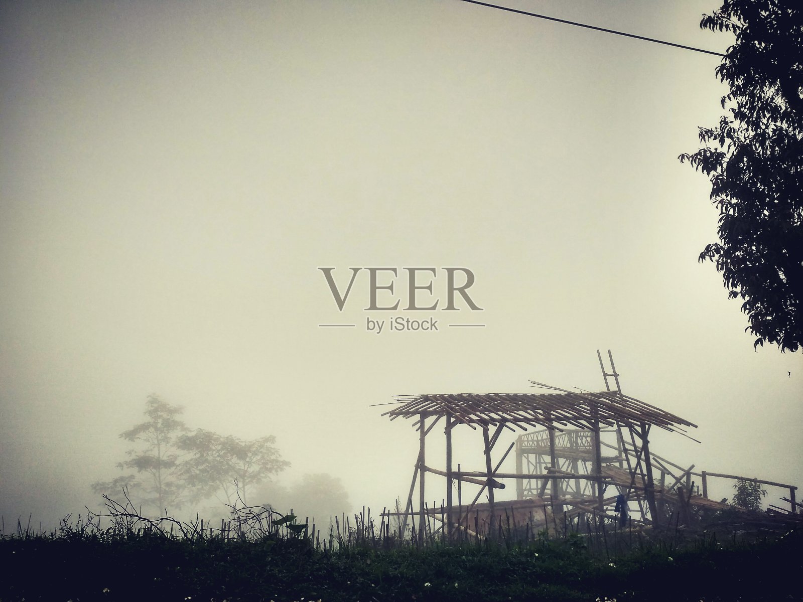 露水照片摄影图片