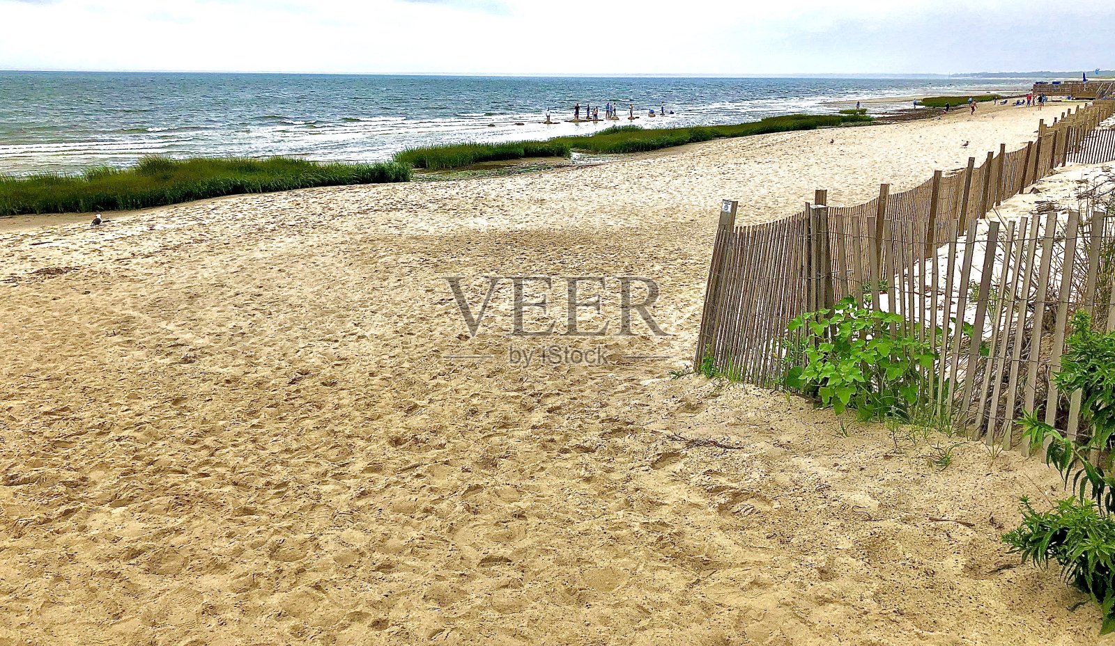 科德角夏日的开始照片摄影图片