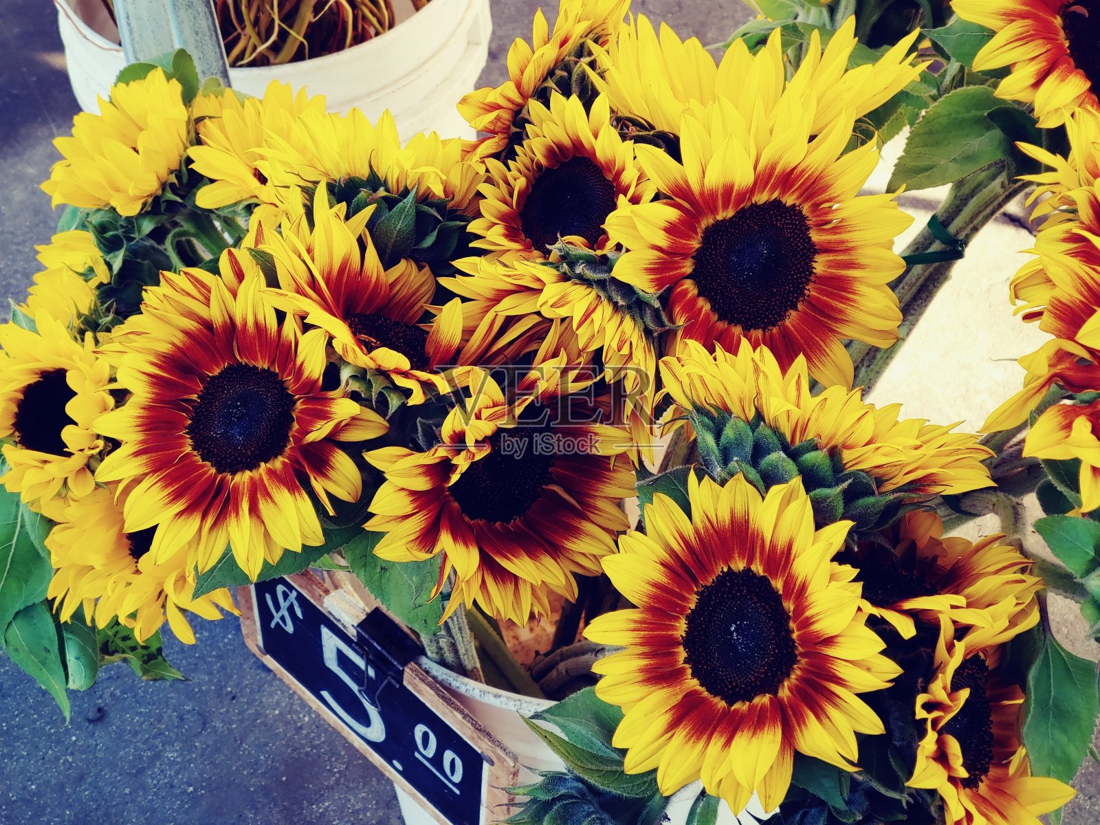 向日葵在加利福尼亚农贸市场的零售展示照片摄影图片