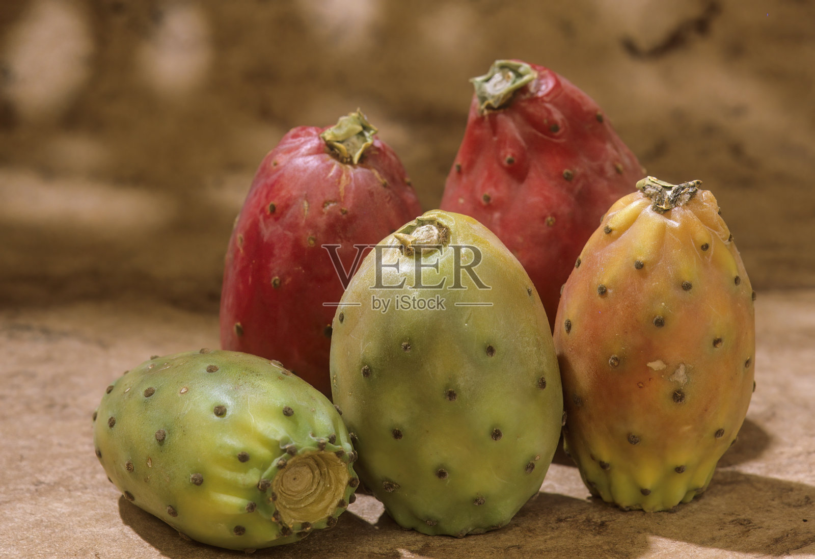 仙人球仙人掌照片摄影图片