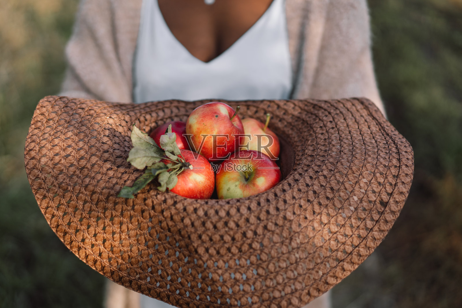 非洲女人拿着红苹果。收获的概念。照片摄影图片