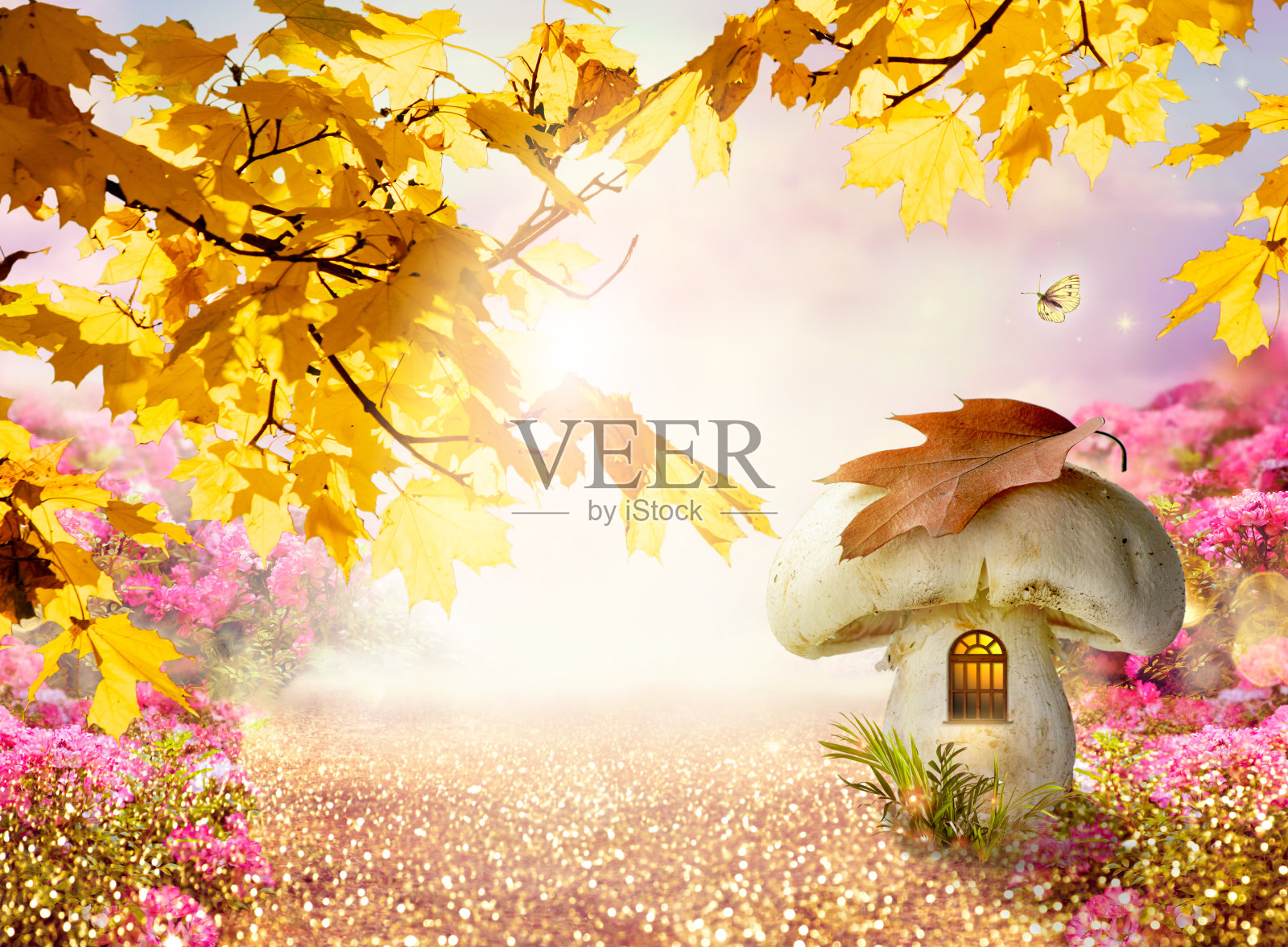 魔法童话森林与魔法窗户在幻想大蘑菇地gnome房子，秋天的枫树，玫瑰花园，飞行的魔法蝴蝶，道路与发光的太阳反射闪光照片摄影图片