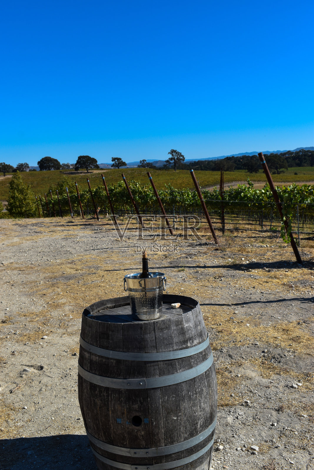 漂亮的酒瓶在银桶上的酒桶照片摄影图片