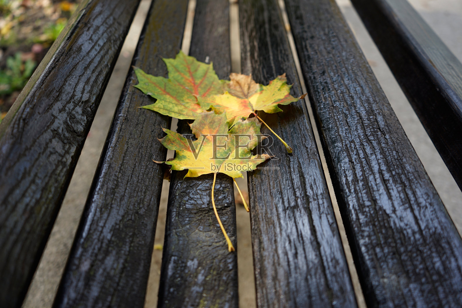 秋天的树叶在公园的长椅上照片摄影图片