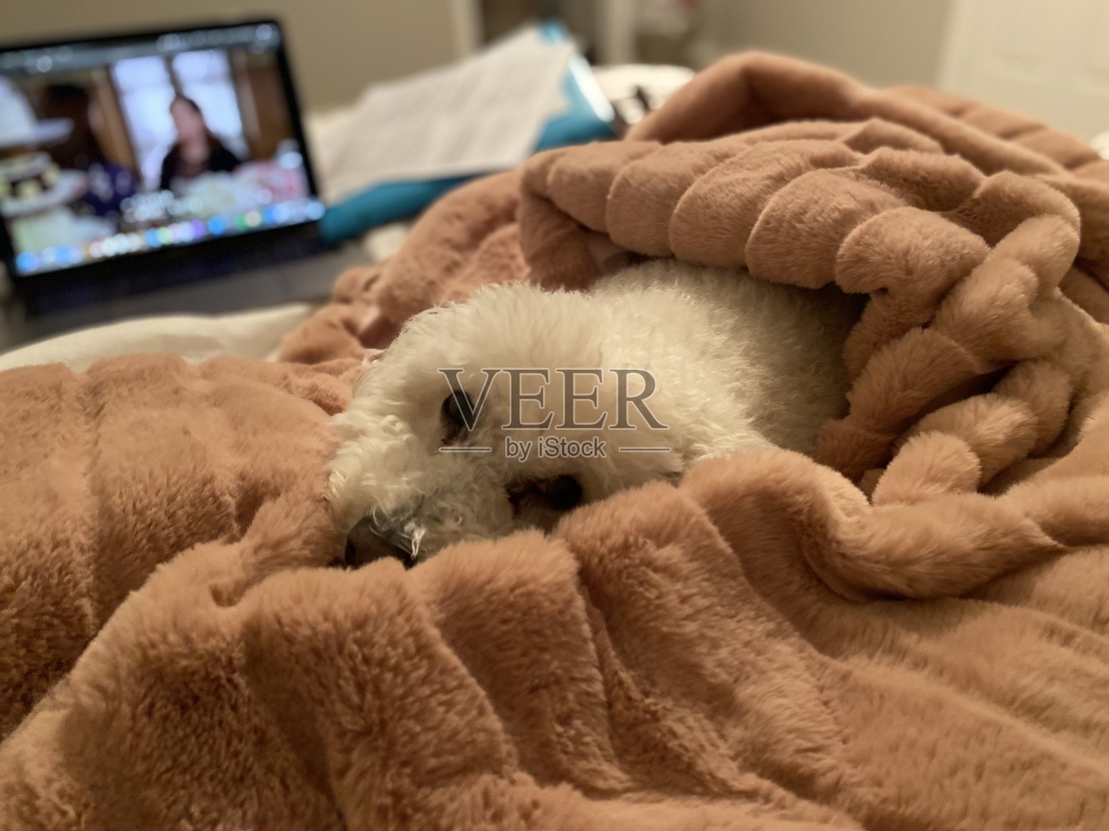 热狗站照片摄影图片