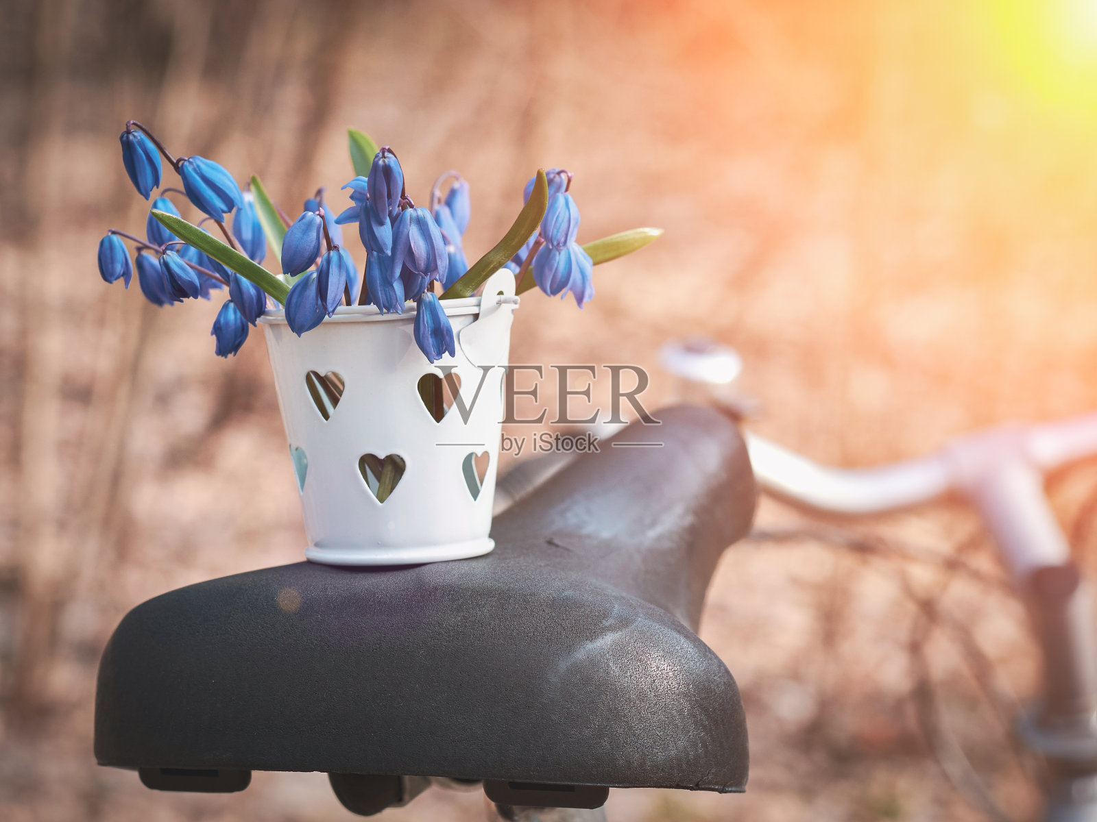 第一个在自行车鞍座上的桶里盛开的春花:春天的概念和生活方式照片摄影图片