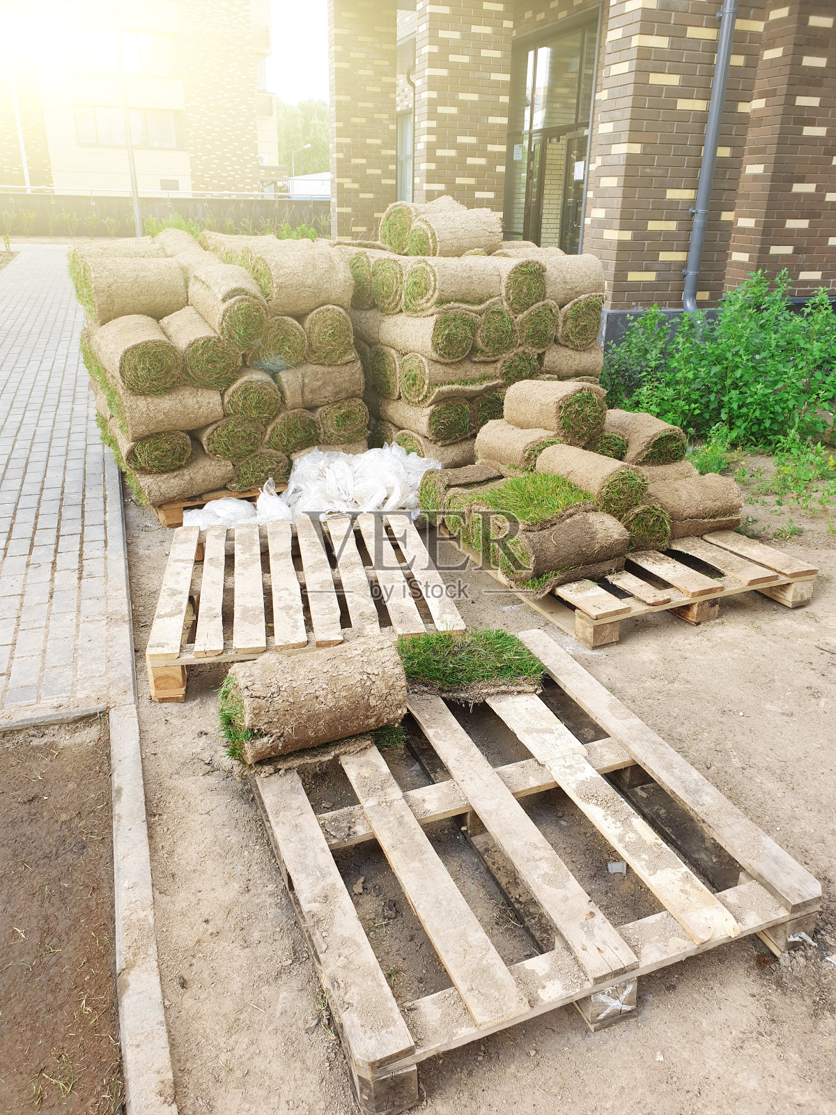 草坪卷在城市院子的托盘上。为美化城市环境做准备的概念照片摄影图片