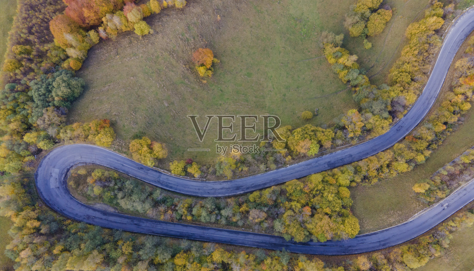 罗马尼亚佩斯特拉县的秋景照片摄影图片