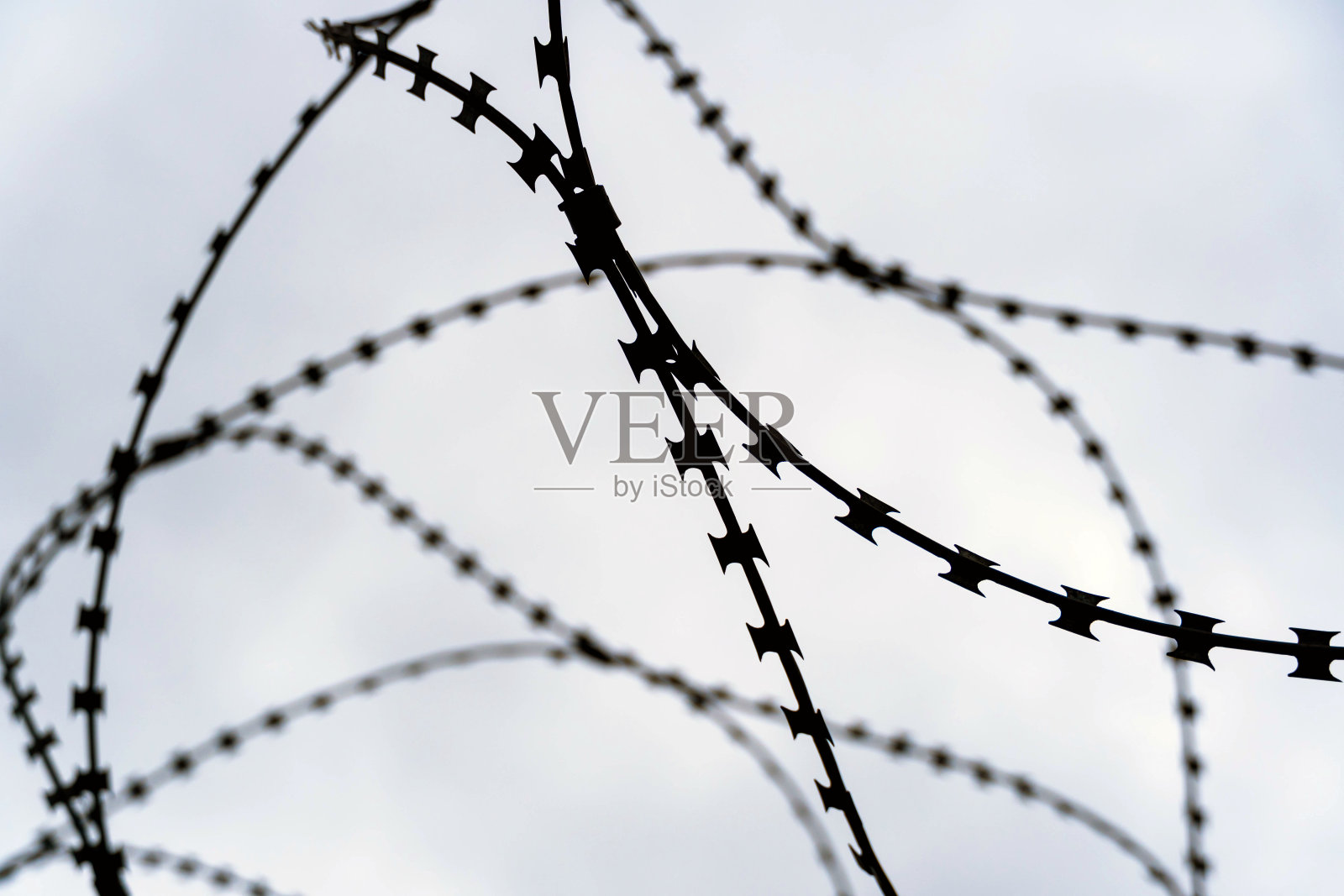 黑色带刺的金属丝映衬着灰色的天空。照片摄影图片