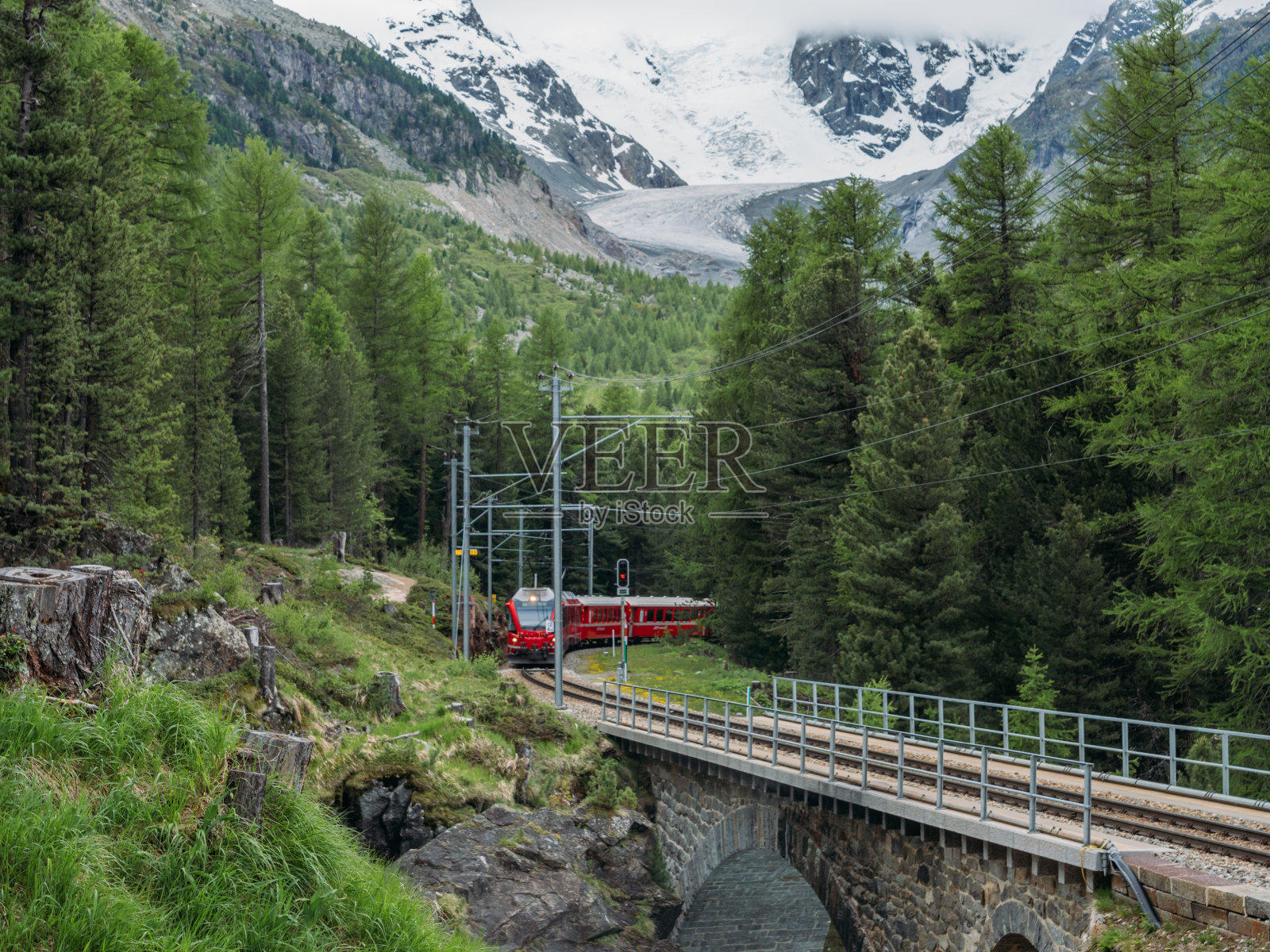 一列瑞士火车驶出冰川前的松树林照片摄影图片