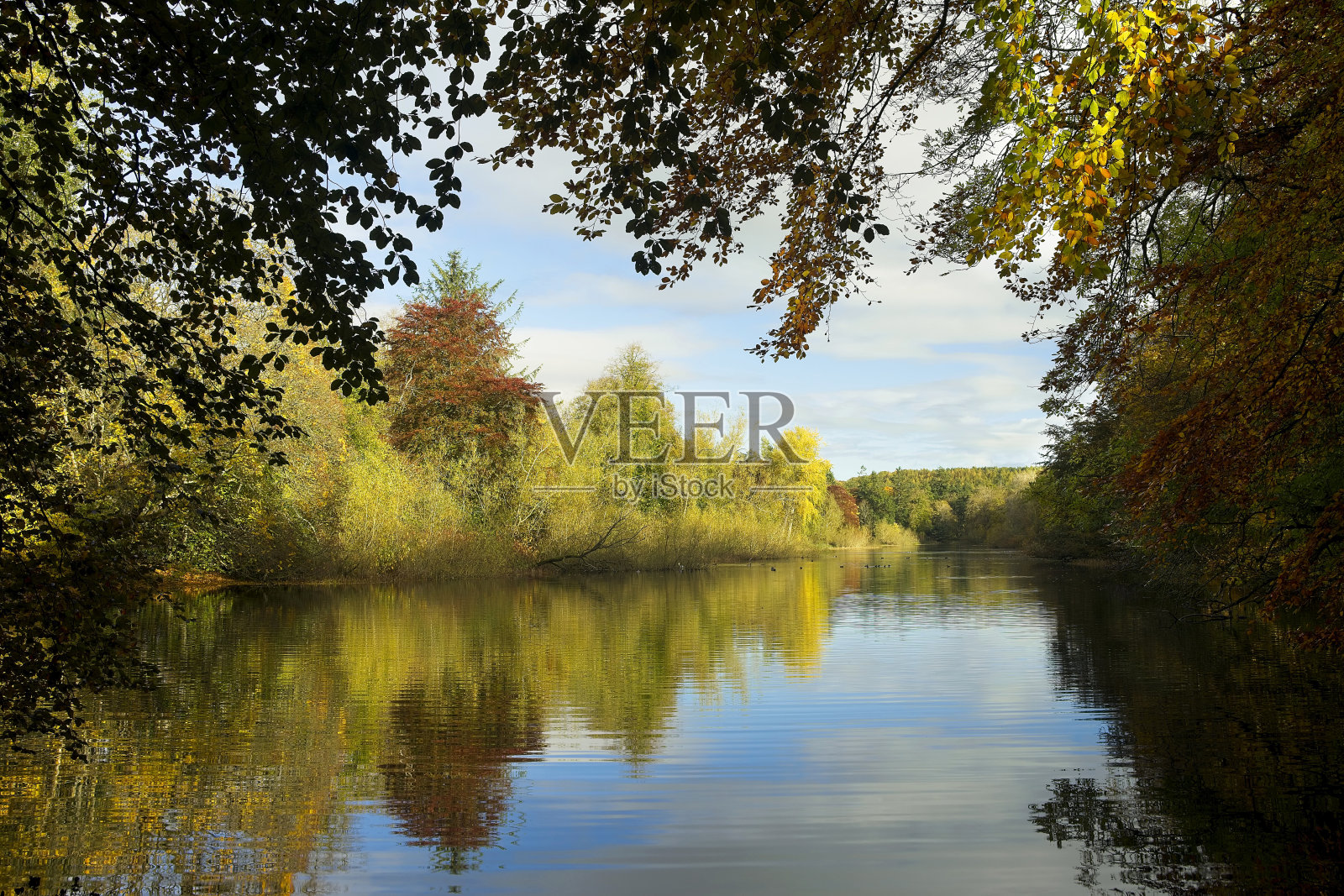 反射照片摄影图片