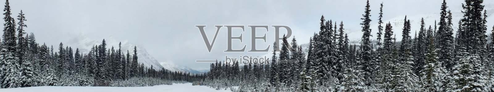 冬季在班夫国家公园的冰原大道上照片摄影图片